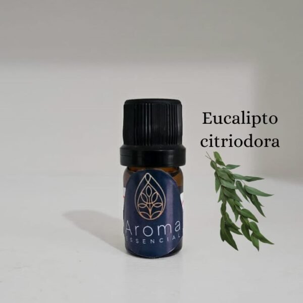 Essência Aromatizante Eucalipto Citriodora: Benefícios e Usos