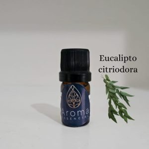 eucalipto